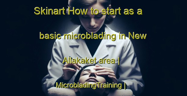 Skinart How to start as a basic microblading in New Allakaket area | MicrobladingTraining | MicrobladingClasses | SkinartTraining-United States